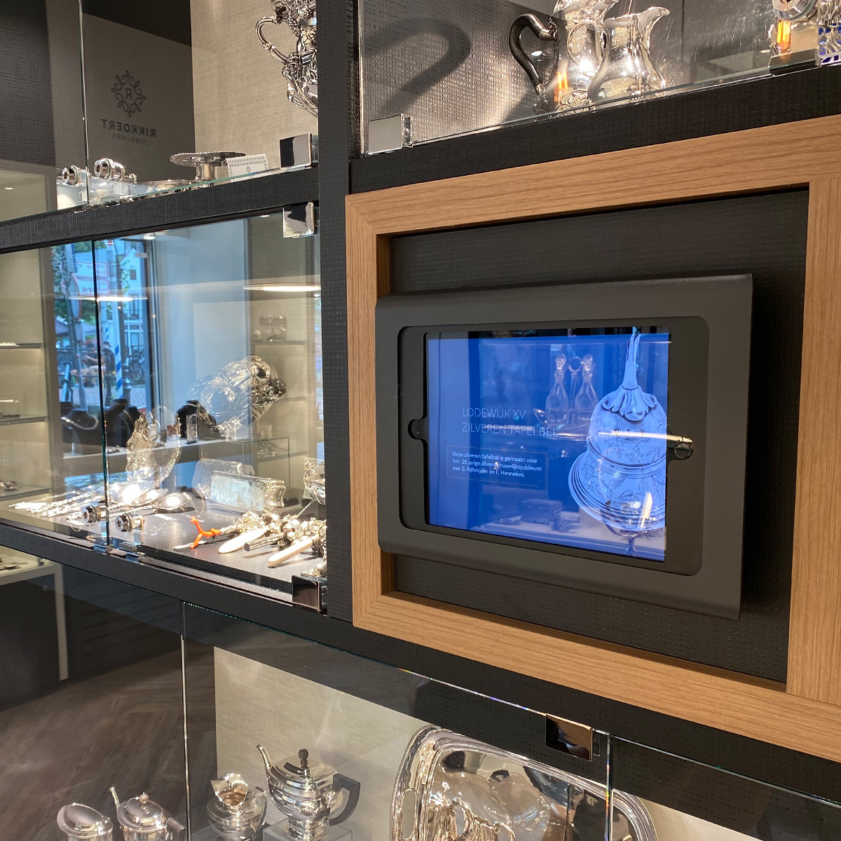 Tabdoq professionele iPad wandhouder